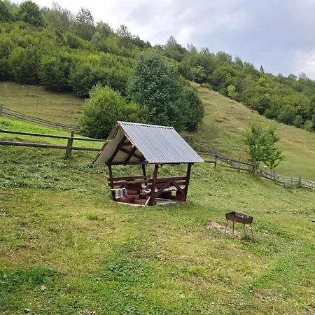 Βίλα синевирський краєвид *