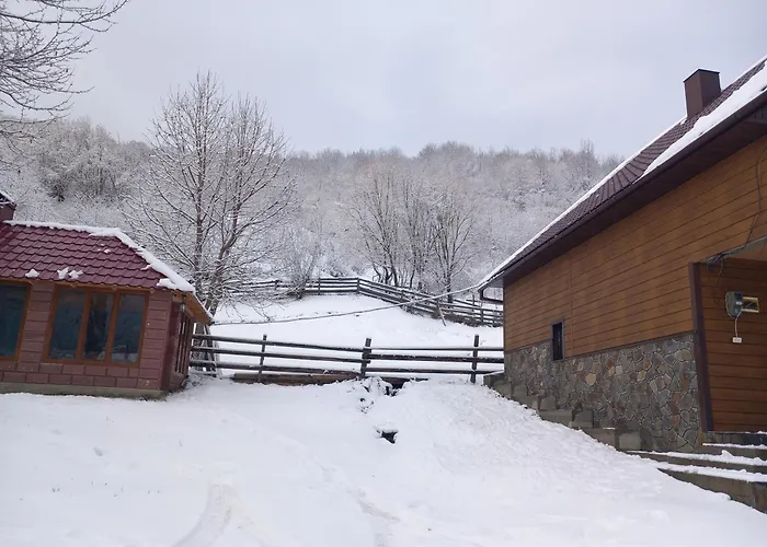 синевирський краєвид 别墅 *