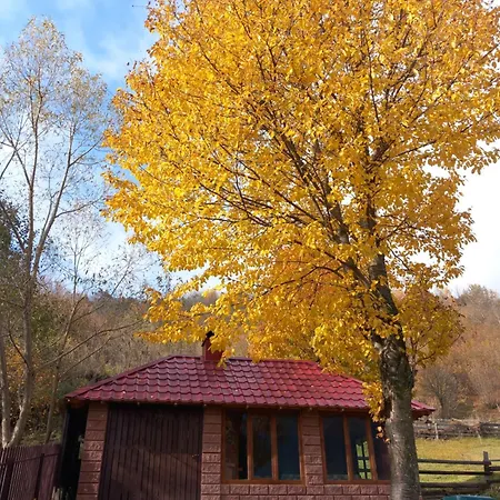синевирський краєвид Βίλα Synevyr